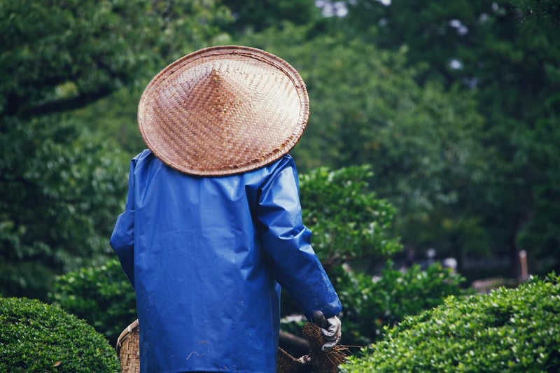Gardeners working together