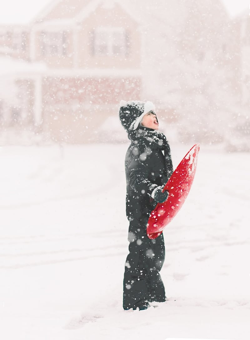 Winter Snow Scene
